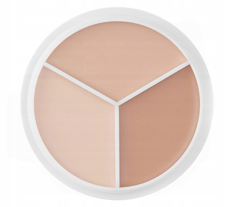 Paleta korektorów do twarzy 01 NEUTRAL TFIT Cover Up Pro Concealer 15g