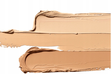 Paleta korektorów do twarzy 01 NEUTRAL TFIT Cover Up Pro Concealer 15g