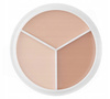 Paleta korektorów do twarzy 01 NEUTRAL TFIT Cover Up Pro Concealer 15g