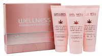 Zestaw WELLNESS VolumePLEX mini zestaw szampon, odżywka, maska 3 x 50 ml